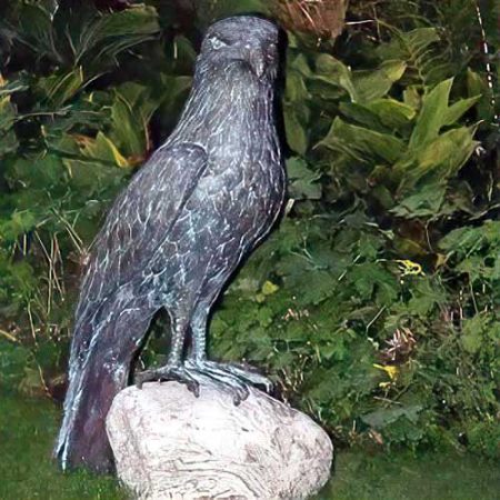 Bronze Bird Young Eagle Standing : Escar UK Bronze