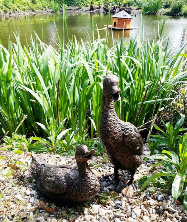 Bronze Daffy & Dewey Ducks-2 : Escar UK Bronze