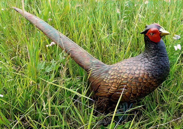 Hollow Cast Bronze Bird : Pheasant : Life Size Young-1