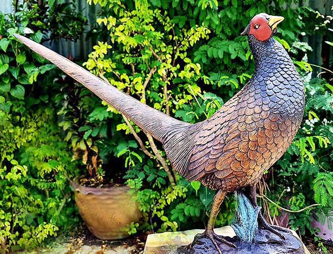 Bronze Life Size Young Pheasant-3 : Escar UK Bronze