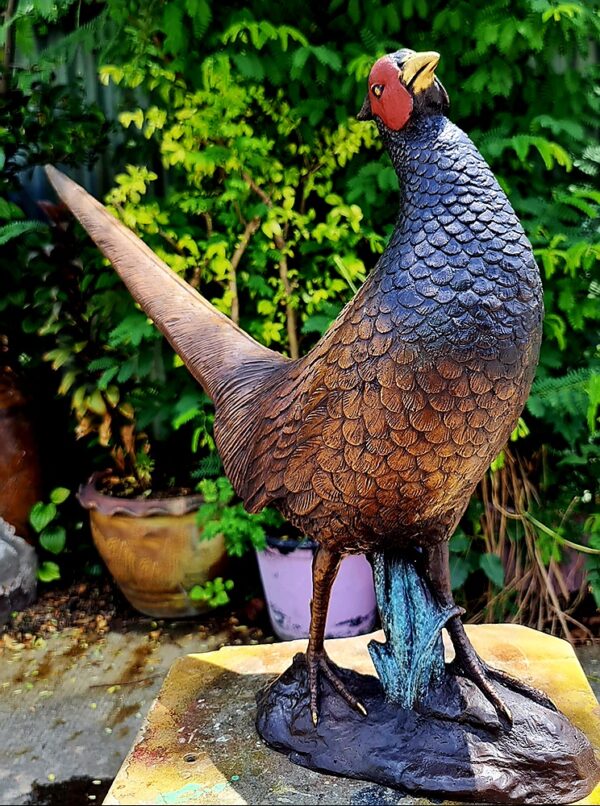 Hollow Cast Bronze Bird : Pheasant : Life Size Young-3