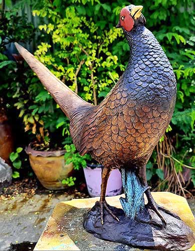 Bronze Life Size Young Pheasant-4 : Escar UK Bronze