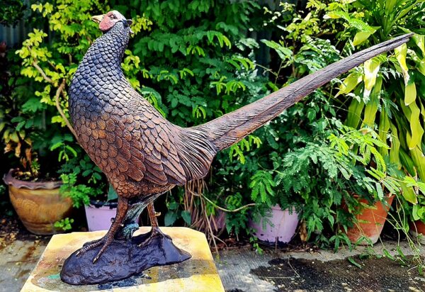 Hollow Cast Bronze Bird : Pheasant : Life Size Young-4