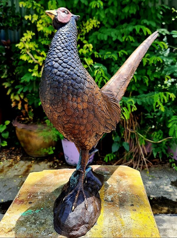 Hollow Cast Bronze Bird : Pheasant : Life Size Young-5