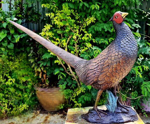 Hollow Cast Bronze Bird : Pheasant : Life Size Young-6