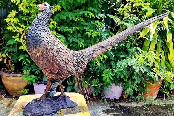 Bronze Young Pheasant : Life Size-7 : Escar UK Bronze