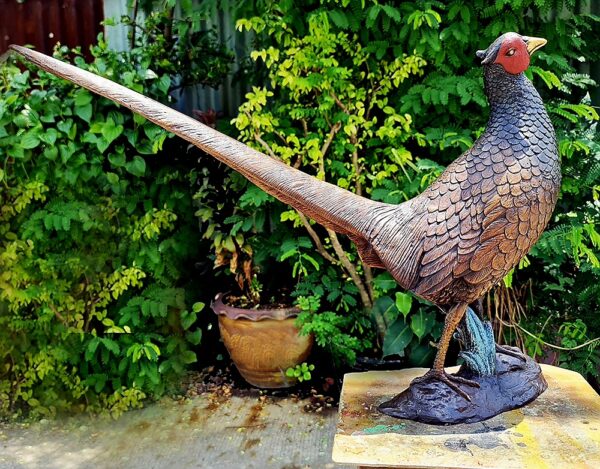 Hollow Cast Bronze Bird : Pheasant : Life Size Young-7