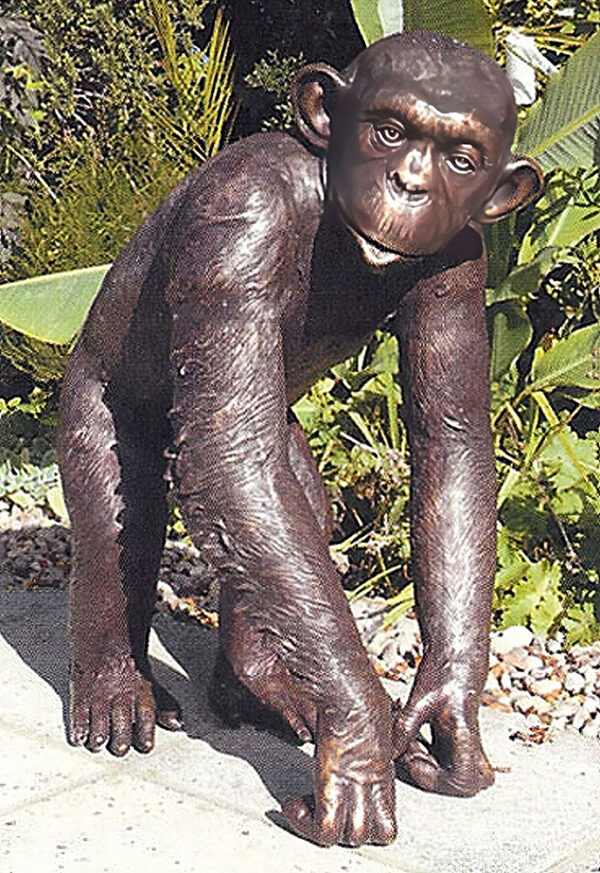 Hollow Cast Bronze Chimpanzee : Charlie the Chimp-1