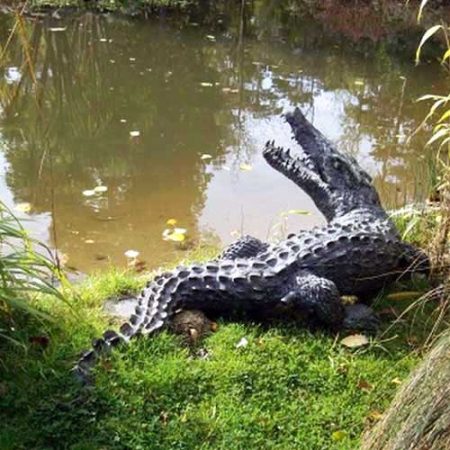 Bronze Crocodile Water Feature : Escar UK Bronze