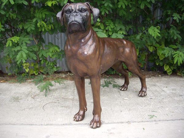 Hollow Cast Bronze Dog : Boxer : Buddy-1