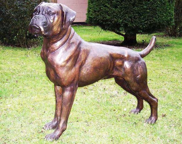 Bronze Dog : Boxer : Buddy : Escar UK Bronze