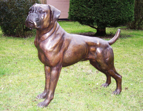 Hollow Cast Bronze Dog : Boxer : Buddy-2