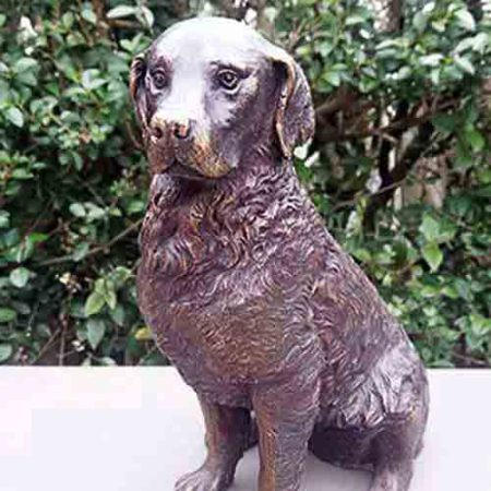 Bronze Dog : Golden Retriever : Michael : Medium : Escar UK Bronze