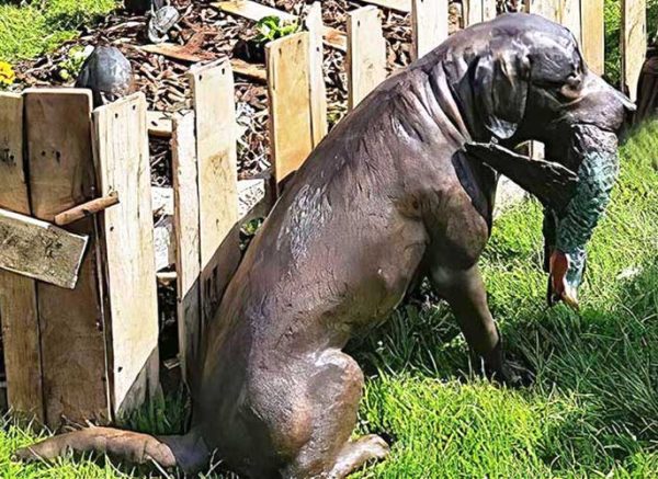 Bronze Labrador Fetch Retrieving a Pheasant-2 : Escar UK Bronze