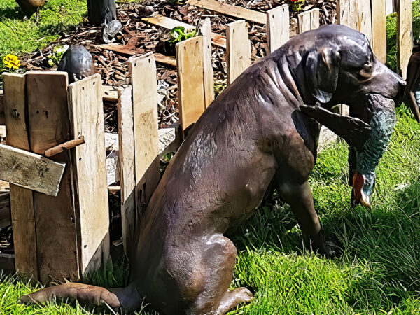 Hollow Cast Bronze Dog : Labrador Fetch with a Pheasant-2