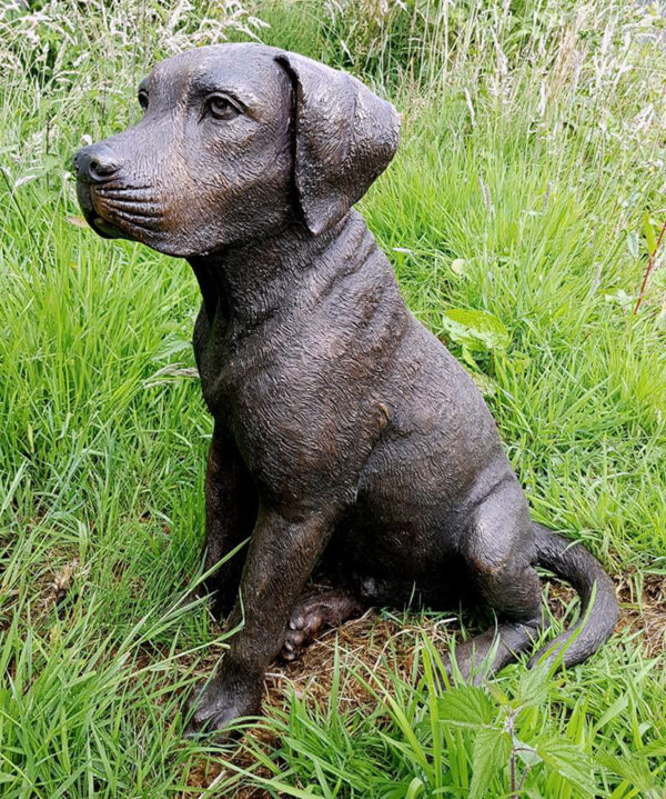 Hollow Cast Bronze Dog : Labrador Puppy : Buster-2