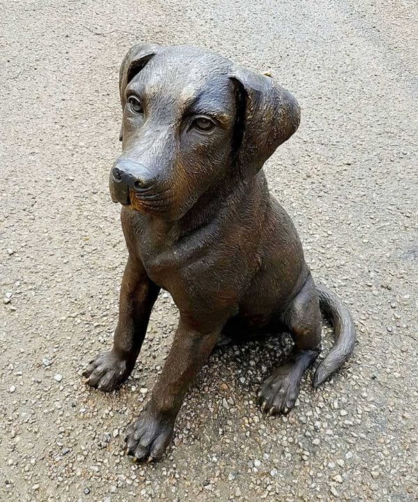 Bronze Labrador Puppy Dog : Buster-3 : Escar UK Bronze