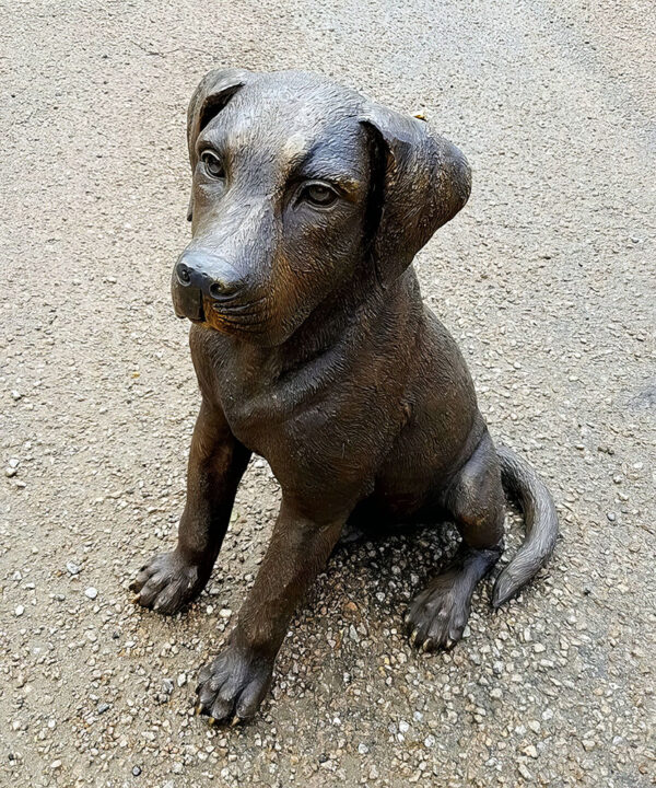 Hollow Cast Bronze Dog : Labrador Puppy : Buster-3