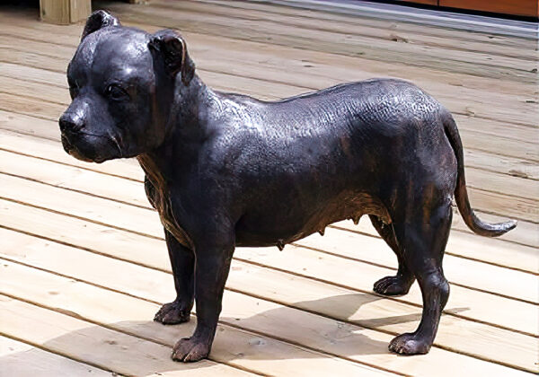 Hollow Cast Bronze Dog : Staffordshire Bull Terrier : Jadon : Commission-1