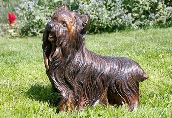 Hollow Cast Bronze Dog : Yorkshire Terrier : Ellie : Commission-1