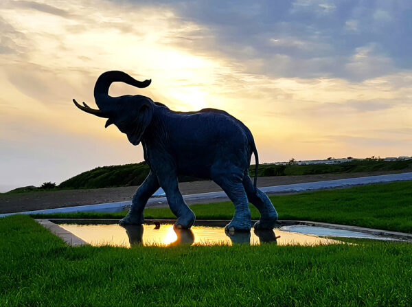 Hollow Cast Bronze Elephant : Tawan : Water Feature-2