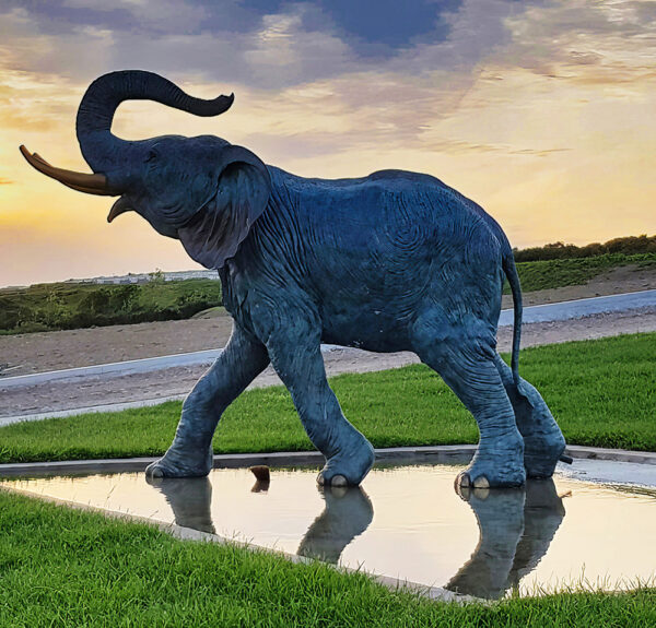 Hollow Cast Bronze Elephant : Tawan : Water Feature-3