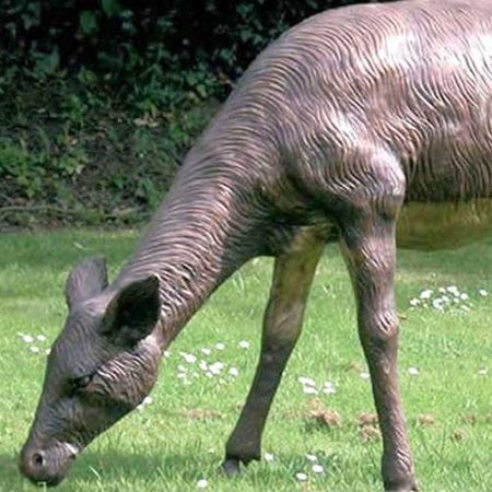 Bronze Fallow Deer Hind Grazing : Escar UK Bronze