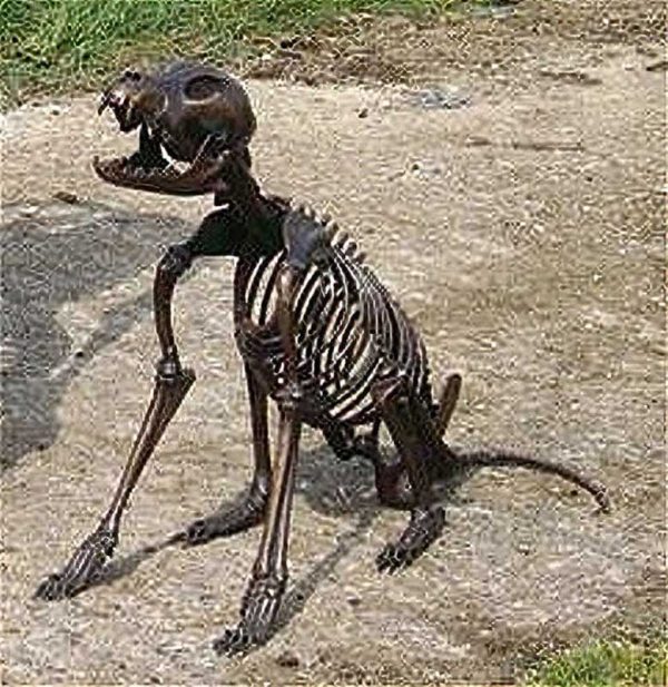 Cast Bronze Figure : Skeleton Dog : Dog Bones-Thumb