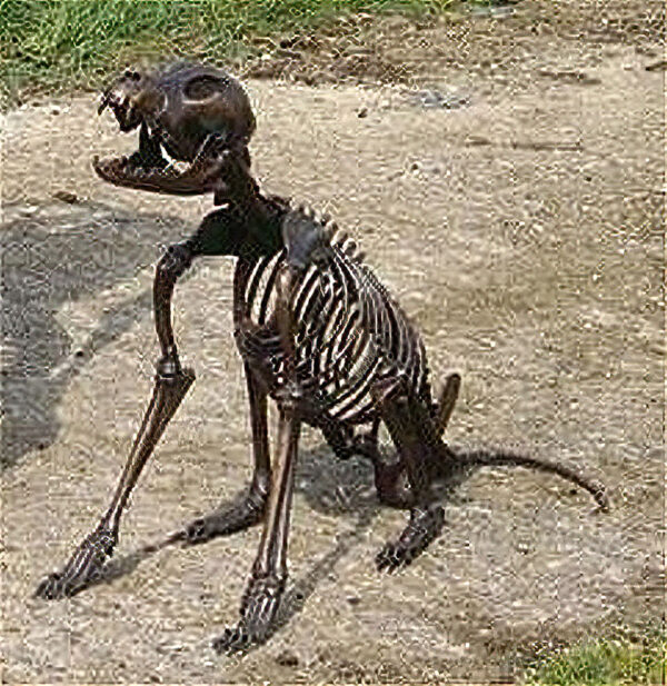 Solid Cast Bronze Figure : Skeleton Dog : Dog Bones-1