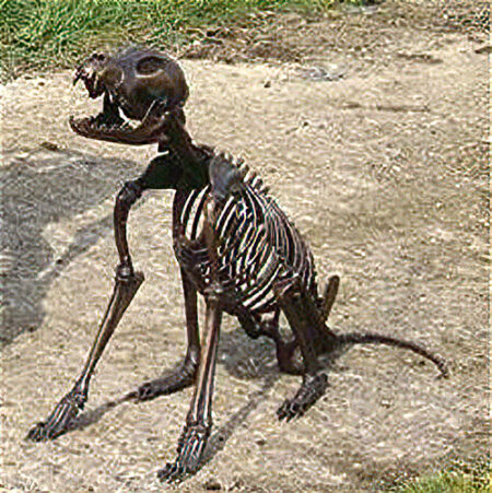 Solid Cast Bronze Figure : Skeleton Dog : Dog Bones