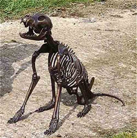 Bronze Figure : Dog Bones : Skeleton Dog : Escar UK Bronze