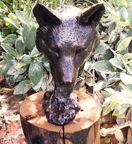 Bronze Foxes
