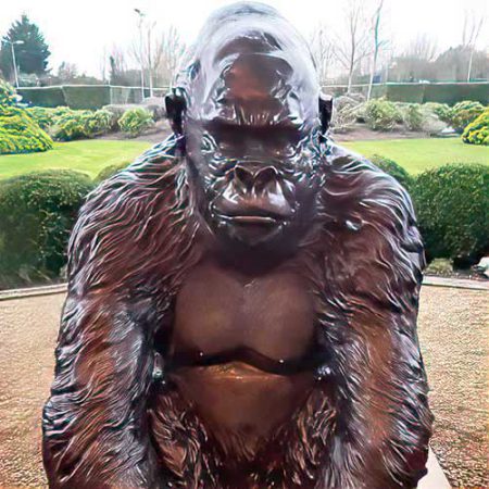 Bronze Gorilla : Guy the Silverback Gorilla : Escar UK Bronze