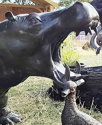 Bronze Hippo : Hector Hippopotamus-1 : Water Feature : Escar UK Bronze