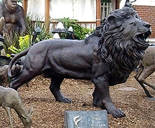 Hollow Cast Bronze Lion : Prowling Male : Simba-2