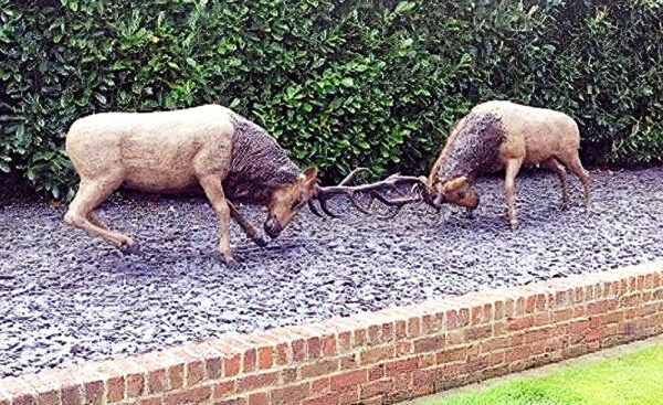 Hollow Cast Bronze Deer : Red Deer Stags : Fighting Pair-1