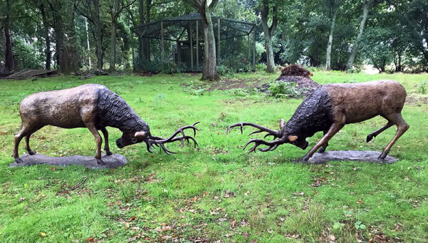 Hollow Cast Bronze Deer : Red Deer Stags : Fighting Pair-3