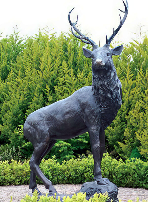 Hollow Cast Bronze Deer : Red Deer Stag : Standing on a Rock-1