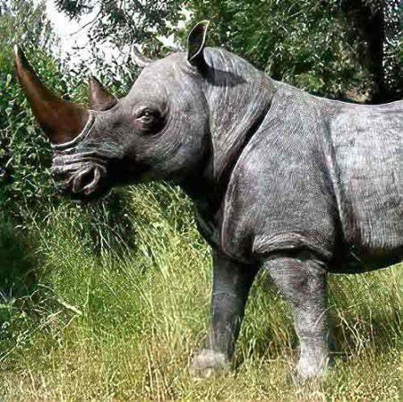 Bronze Rhinoceros : Rocky the White Rhino : Escar UK Bronze
