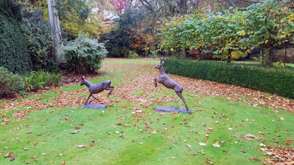 Hollow Cast Bronze Deer : Roe Deer Pair : The Chase-4