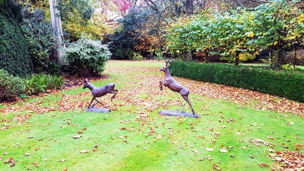 Bronze Roe Deer Pair : Leaping & Landing : The Chase-3 : Escar UK Bronze