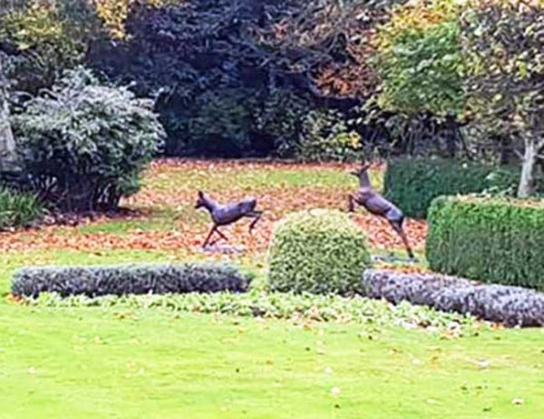 Bronze Roe Deer The Chase : Escar UK Bronze