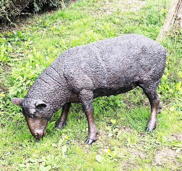 Hollow Cast Bronze Sheep Grazing-1