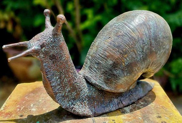 Bronze Snail : Brian : Large-6 : Escar UK Bronze