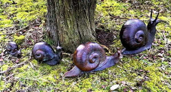 Hollow Cast Bronze Snails : Family of Four-1