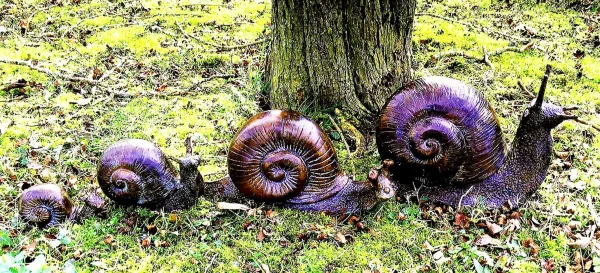 Hollow Cast Bronze Snails : Family of Four-2