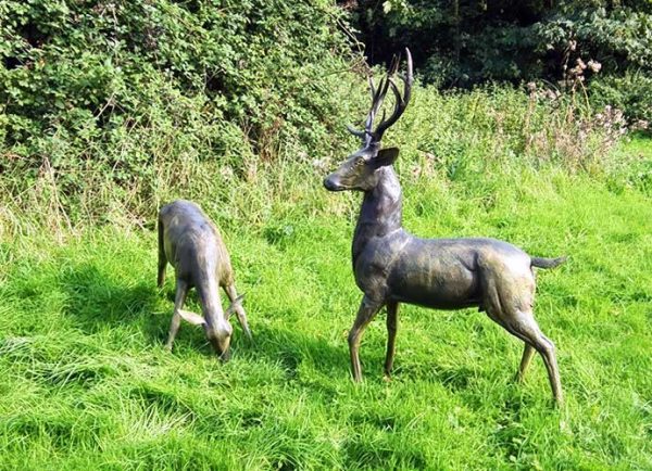 Bronze White-tailed Deer Hind Grazing-1 : Escar UK Bronze