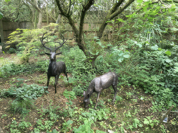 Hollow Cast Bronze Deer : White-tailed Deer Hind : Grazing-3