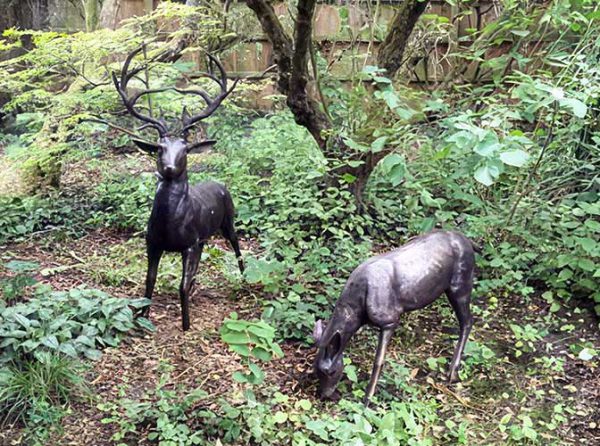Bronze White Tailed Hind Grazing : Escar UK Bronze
