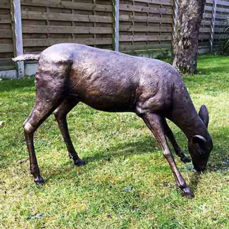Bronze White Tailed Hind Grazing : Escar UK Bronze